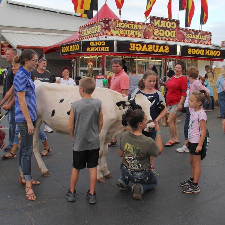 Georgia National Fair attendance tops 467,000